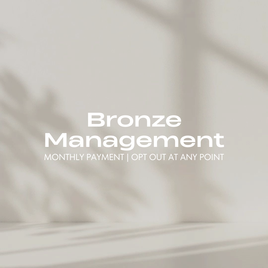 Bronze Social Media Management