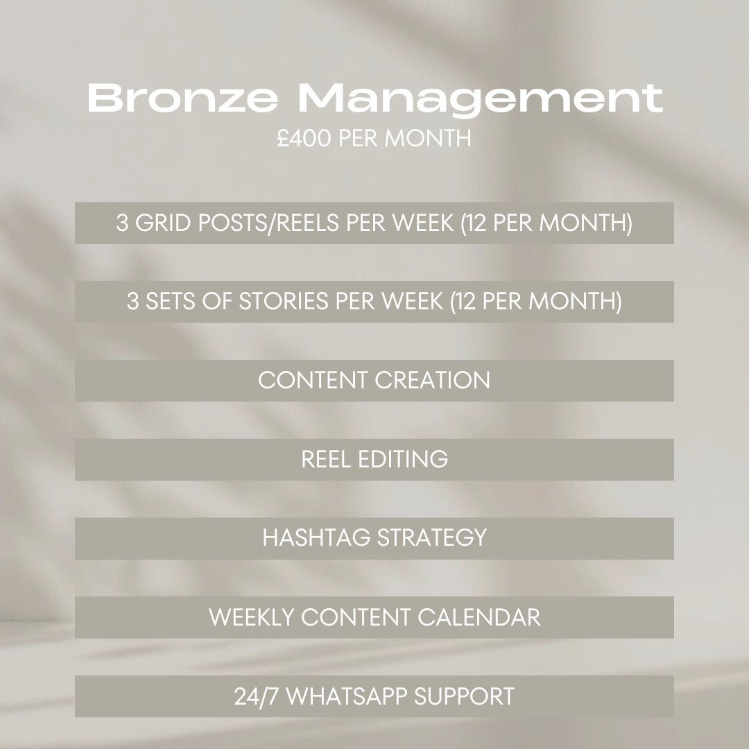 Bronze Social Media Management